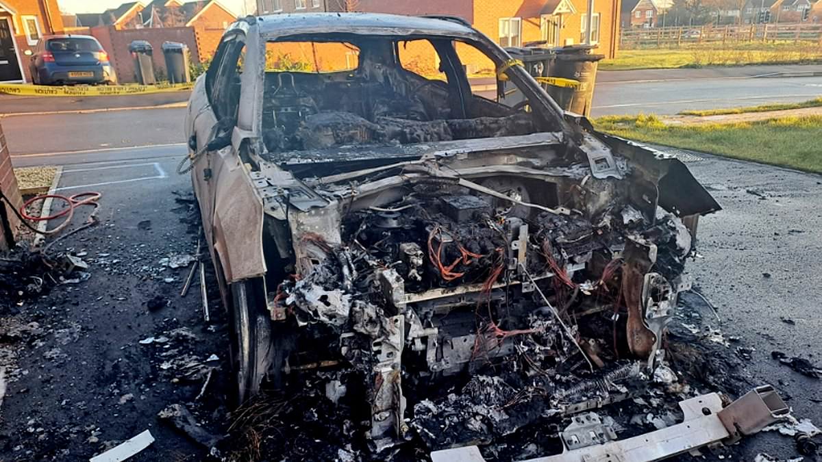 alert-–-our-new-electric-car-exploded-into-flames-while-we-slept-forcing-us-to-flee-our-home-–-my-family-have-been-traumatised