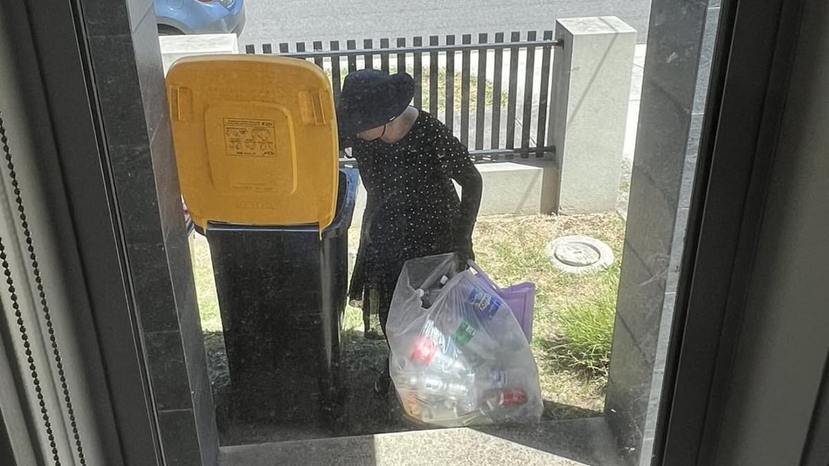 alert-–-woman’s-recycling-bin-act-divides-australia:-‘is-this-normal?’