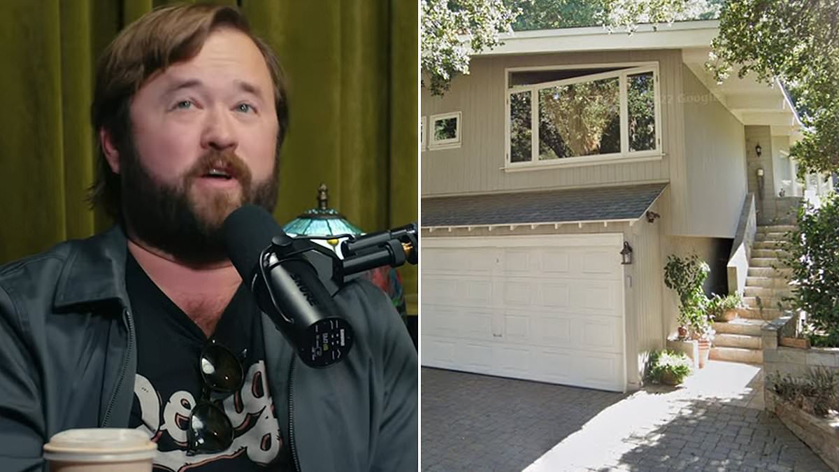 alert-–-haley-joel-osment-reveals-what-he-learned-after-losing-his-house-in-the-eaton-fire