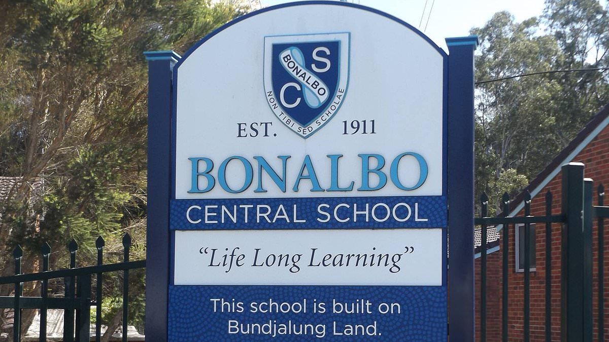 alert-–-students-suspended-after-allegedly-performing-the-nazi-salute-at-bonalbo-central-school