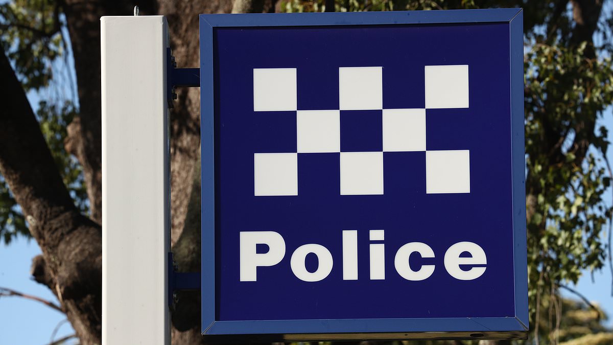 alert-–-woman-allegedly-raped-in-her-cairns-home-by-three-teenage-boys-while-her-partner-was-held-by-knifepoint-in-‘sickening-and-horrifying’-late-night-attack-–-as-dramatic-footage-of-one-of-the-teen’s-arrest-emerges