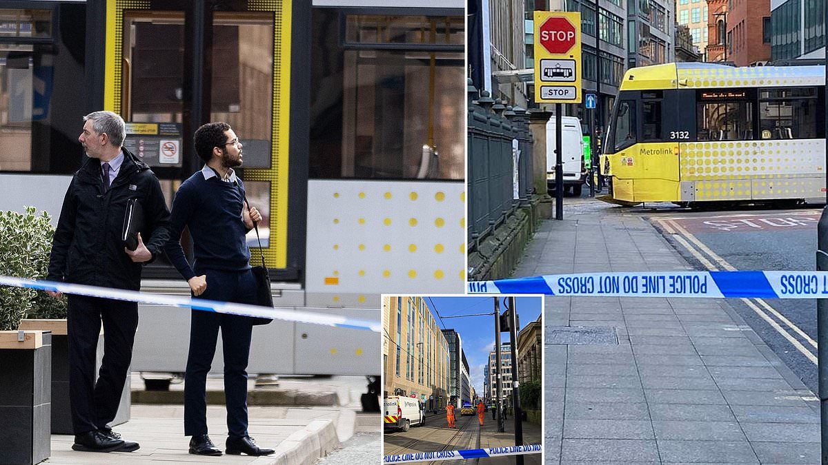 alert-–-manhunt-launched-for-van-driver-who-fled-scene-after-three-year-old-girl-killed-in-manchester-tram-crash-tragedy