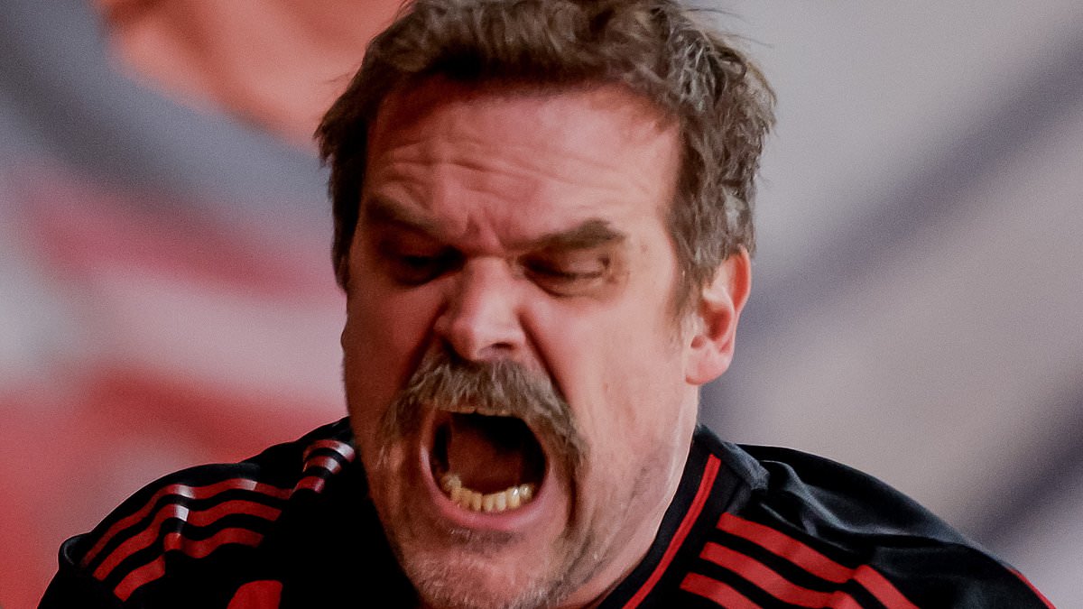 alert-–-david-harbour-joins-fans-for-a-very-fiery-pre-game-ceremony-at-atlanta-united’s-mls-match-with-cf-montreal-after-ex-lily-allen-spoke-out-on-their-‘painful’-divorce