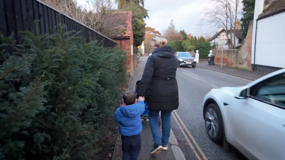 alert-–-wind-in-the-willows-village-overrun-by-real-life-mr-toads!-road-hogs-in-celebrity-enclave-cookham-leave-locals-in-fear-for-their-lives-as-tv-comedian-campaigns-for-cycle-path-network-to-turn-it-into-a-‘mini-amsterdam’