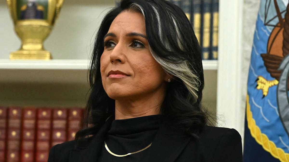 alert-–-tulsi-gabbard-joins-kash-patel-in-defiance-of-elon-musk-over-doge-email-demands