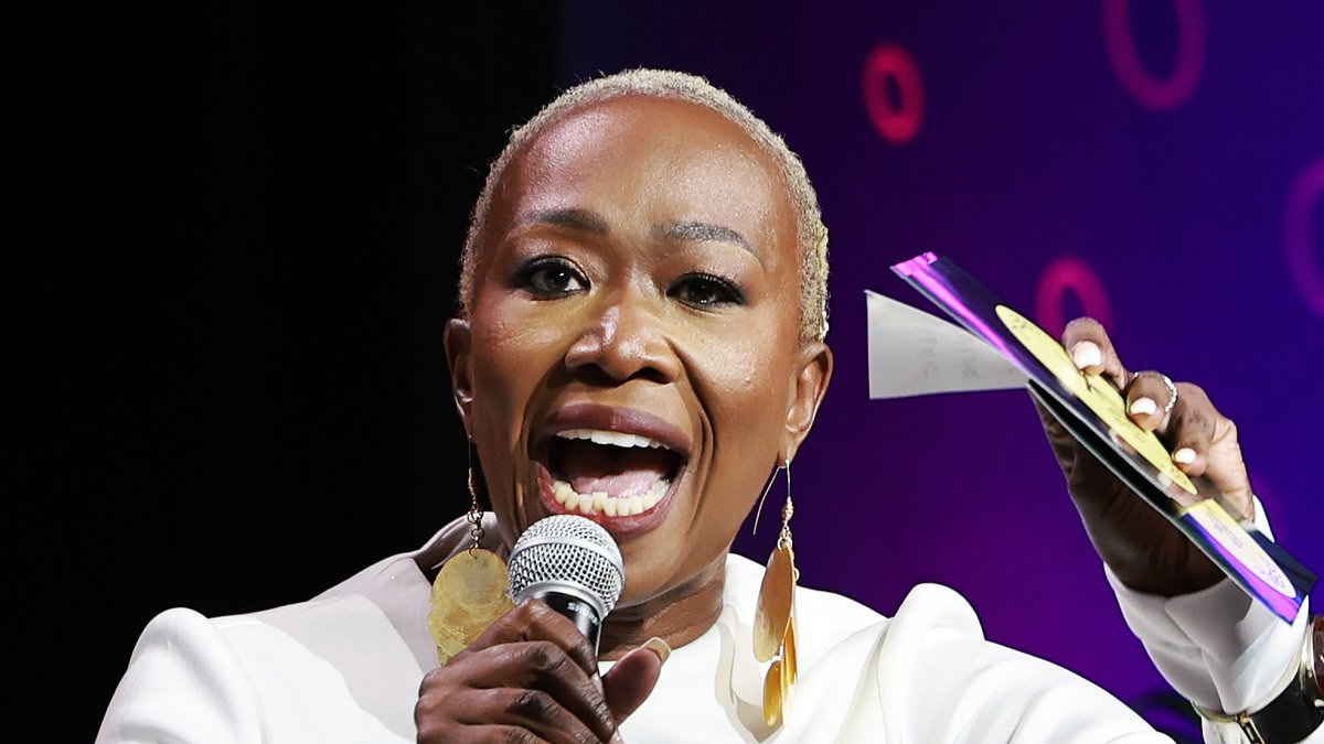 alert-–-joy-reid’s-most-unhinged-racist-and-homophobic-rants-as-her-msnbc-show-is-finally-axed