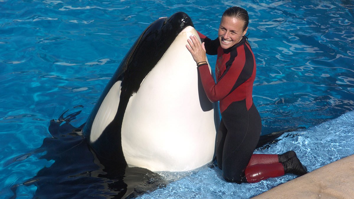 alert-–-haunting-final-moments-of-seaworld-trainer-before-killer-whale-dragged-her-to-her-death-by-her-ponytail-and-ripped-her-scalp-off