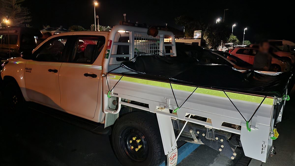 alert-–-cop’s-astonishing-find-in-ordinary-white-ute-parked-in-byron-bay