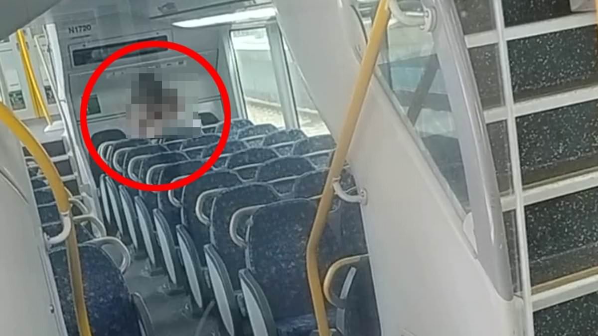 alert-–-couple-caught-in-graphic-x-rated-act-on-a-public-train-in-sydney