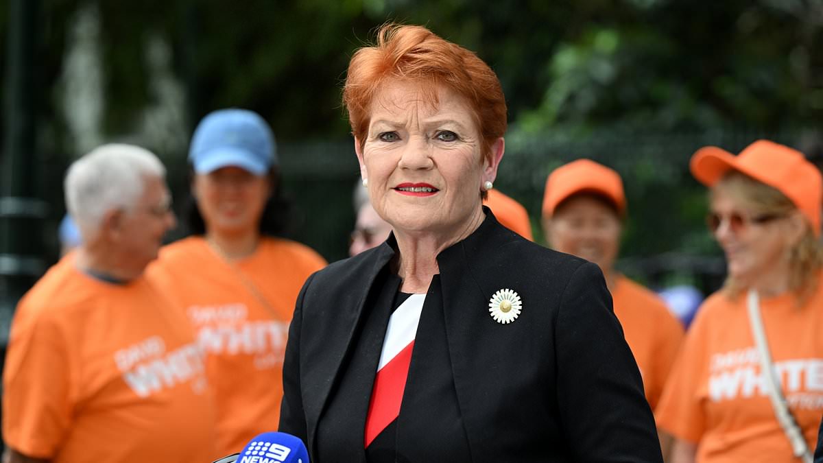 alert-–-pauline-hanson-demands-a-ban-on-gender-treatments-for-kids:-‘this-is-child-abuse,-plain-and-simple’