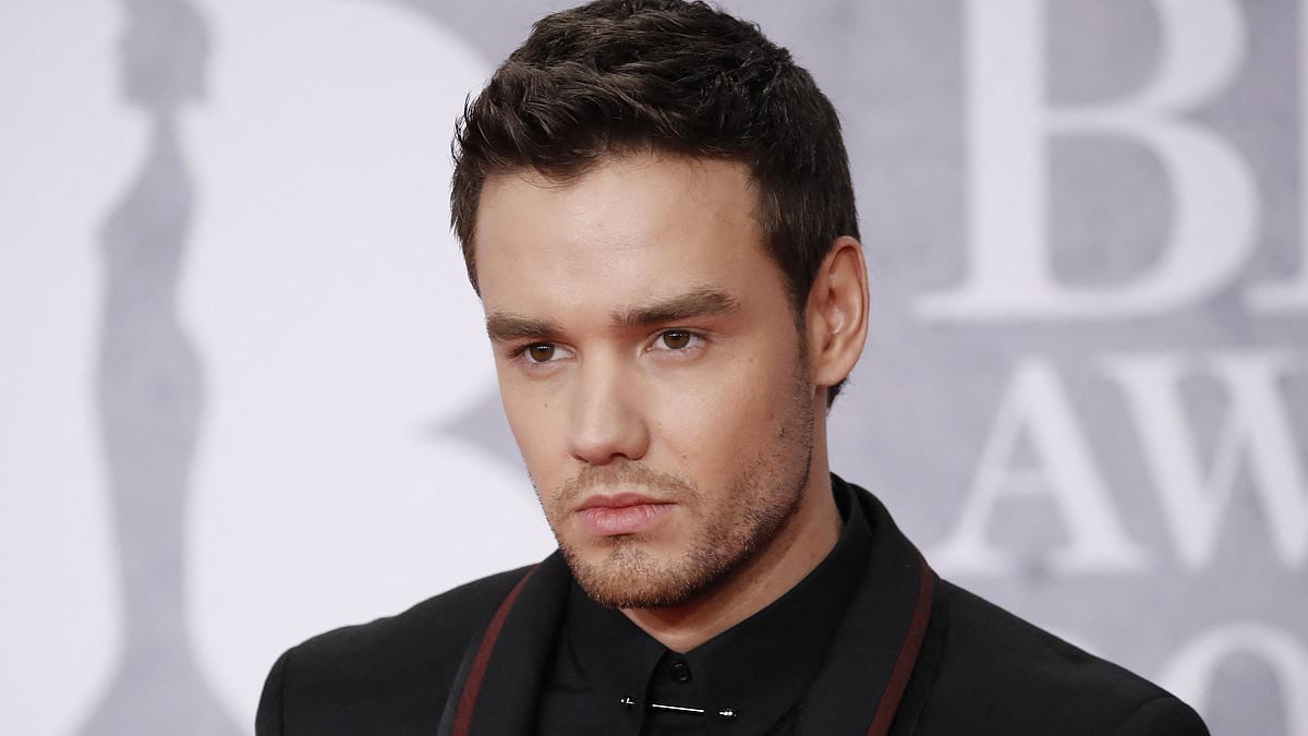 alert-–-liam-payne-fans-in-tears-over-grammys-2025-tribute-4-months-after-one-direction-star’s-death-at-31