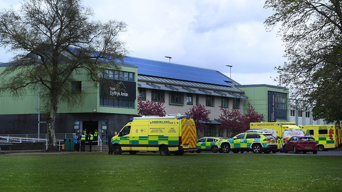 alert-–-schoolgirl,-14,-is-guilty-of-attempted-murder-after-attacking-two-teachers-and-another-pupil-at-a-school-in-ammanford