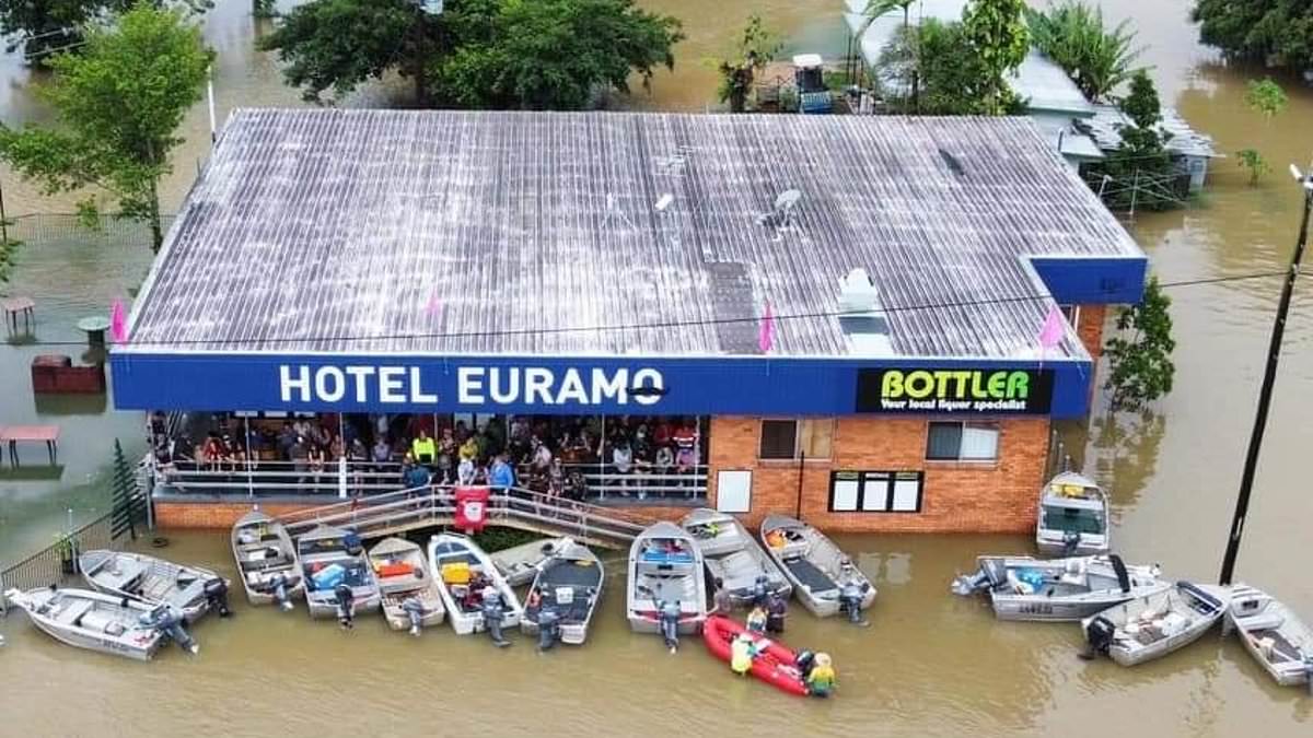 alert-–-north-queensland-floods:-crocodile-appears-on-aussie’s-doorstep-after-regions-battered-by-a-metre-of-rain