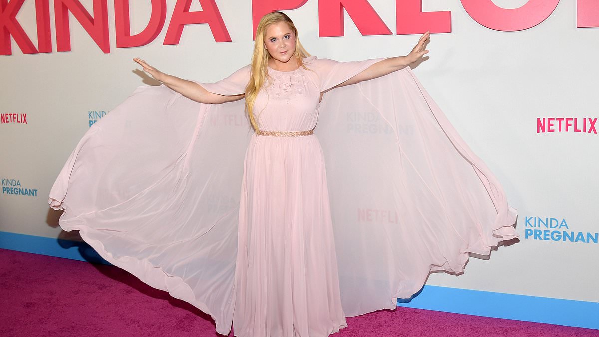 alert-–-amy-schumer-dons-caped-pink-gown-at-kinda-pregnant-premiere-in-nyc-with-husband-chris-fischer