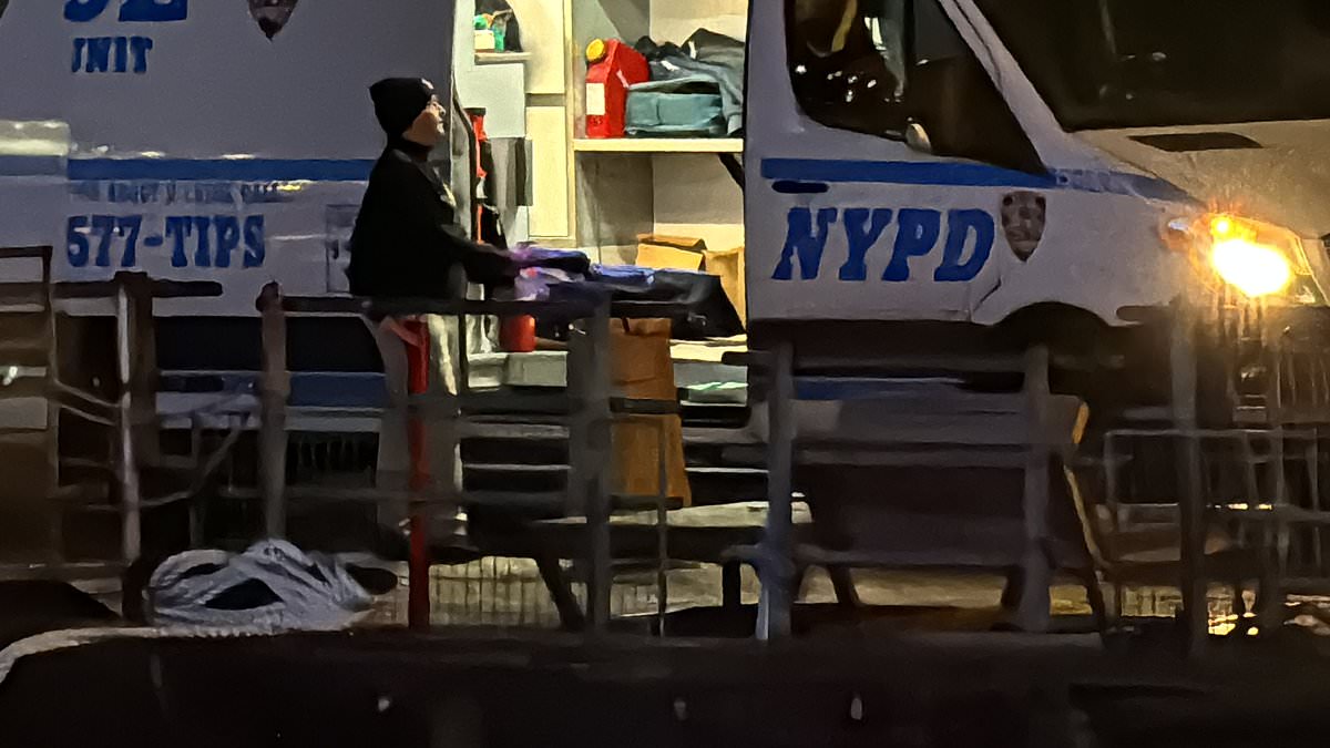 alert-–-gruesome-mystery-as-suitcase-stuffed-with-human-remains-is-found-in-nyc-river