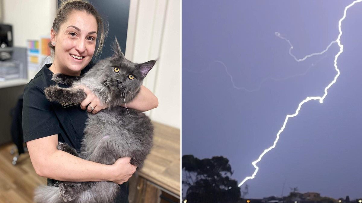 alert-–-rosanna-hashem-killed-by-freak-lightning-strike-in-sydney