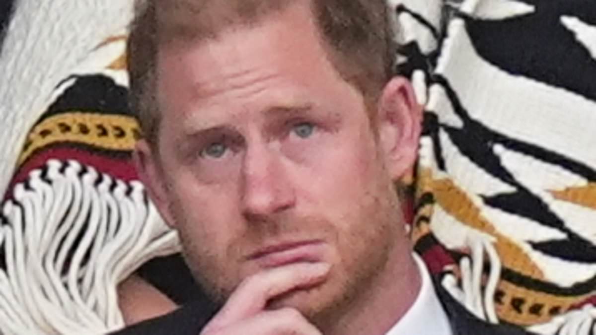 alert-–-invictus-games-insiders-warn-that-prince-harry’s-swipe-at-donald-trump-is-a-‘distraction’-that-won’t-impress-veterans-after-president-called-meghan-‘terrible’