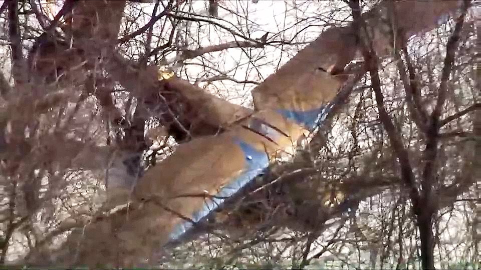 alert-–-horror-as-another-plane-shoots-off-runway-and-smashes-into-trees-at-remote-airfield-in-new-hampshire