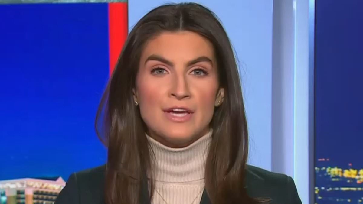 alert-–-kaitlan-collins-mocked-for-hysterical-take-on-trump’s-first-three-weeks-in-power-as-she-warns-of-‘constitutional-crisis’