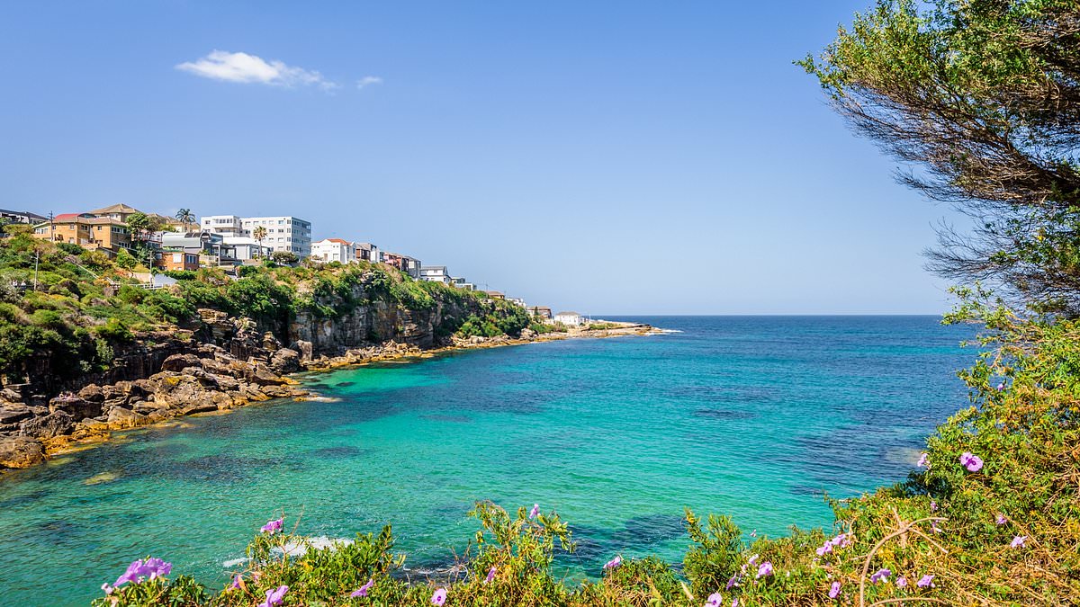 alert-–-major-search-and-rescue-operation-underway-after-two-men-fell-from-rocks-at-gordon’s-bay-in-sydney’s-eastern-suburbs