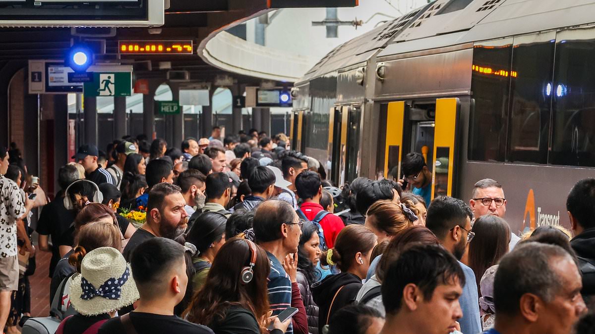 alert-–-sydney-trains-delays-and-cancellations:-what-you-need-to-know-as-work-from-home-warning-issued