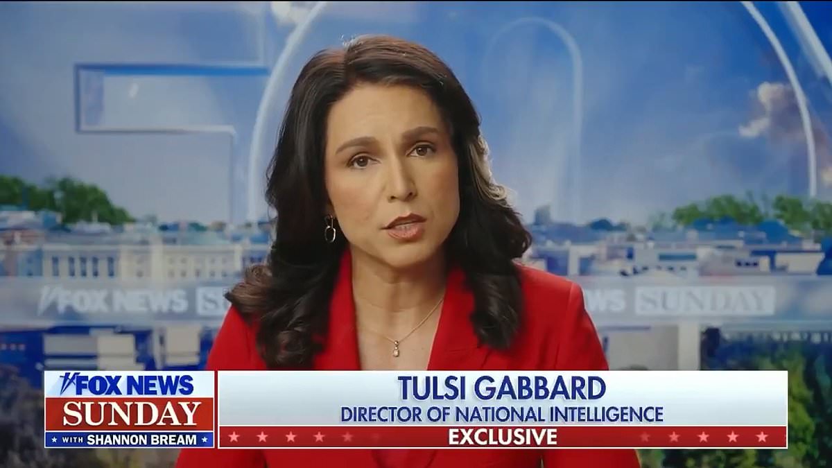 alert-–-tulsi-gabbard-drops-ukraine-bombshell-after-disastrous-trump-and-zelensky-white-house-meeting