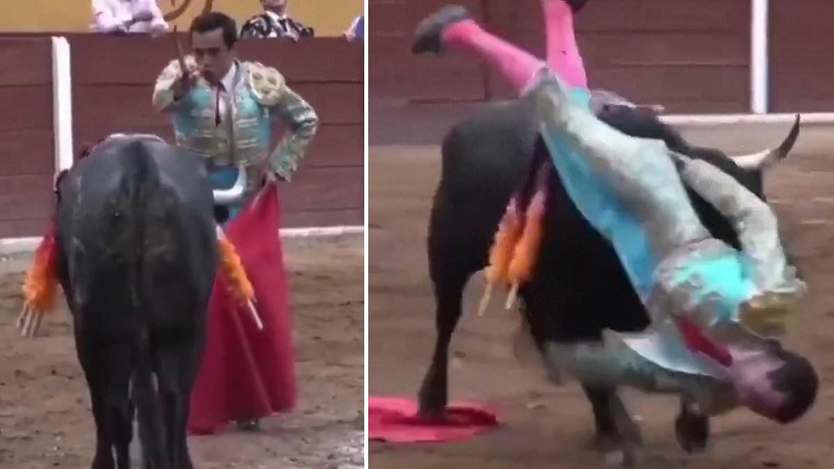 alert-–-gruesome-moment-matador-gets-gored-in-very-sensitive-spot-as-he-tries-to-slaughter-bull