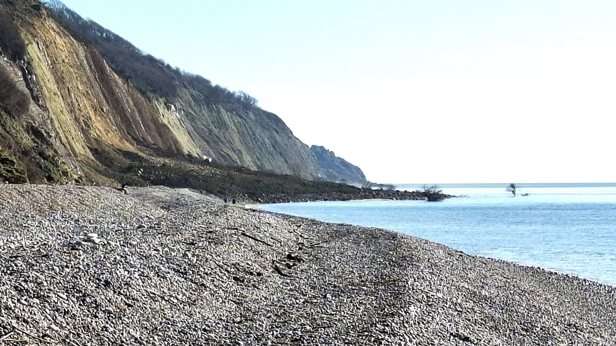 alert-–-moment-dopey-walker-sits-beneath-tottering-cliff-just-seconds-after-thousands-of-tons-rock-plunged-onto-nudist-beach