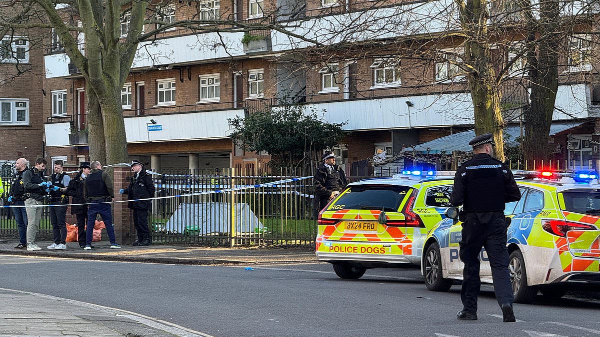 alert-–-boy,-16,-shot-dead-in-south-london:-police-launch-murder-probe-as-they-hunt-for-gunman