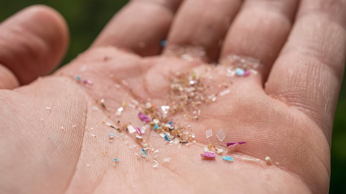 alert-–-toxic-microplastics-in-the-brain-blamed-on-a-product-used-by-millions-–-experts-reveal-simple-way-to-reduce-exposure-by-90-per-cent