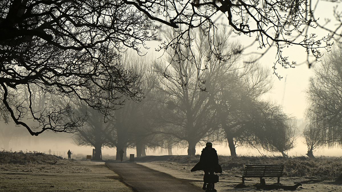 alert-–-britain-is-hit-by-freezing-fog-as-met-office-issues-weather-warning-and-map-shows-worst-hit-areas