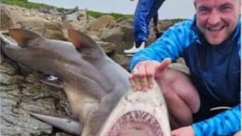 alert-–-i-was-attacked-by-a-300lb-shark-while-i-was-on-holiday-and-needed-91-stitches…-but-it-hasn’t-scared-me-–-i’ll-definitely-go-back