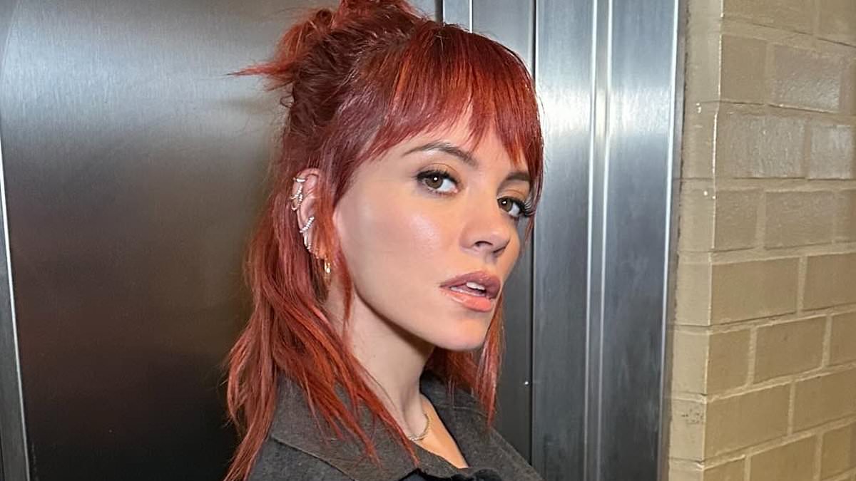 alert-–-lily-allen-discusses-the-challenges-of-her-separation-from-stranger-things-star-husband-david-harbour-as-she-jokes-‘murder-may-have-crossed-my-mind!’