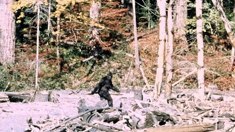 alert-–-bombshell-new-video-shows-huge-footprints-that-cameraman-believes-could-be-the-elusive-bigfoot