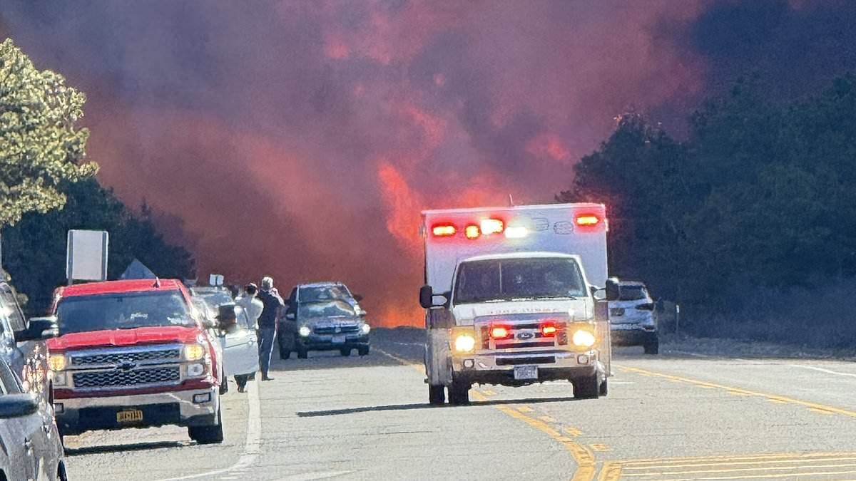 alert-–-evacuations-ordered-as-‘fast-moving’-wildfire-erupts-in-wealthy-hamptons-enclave