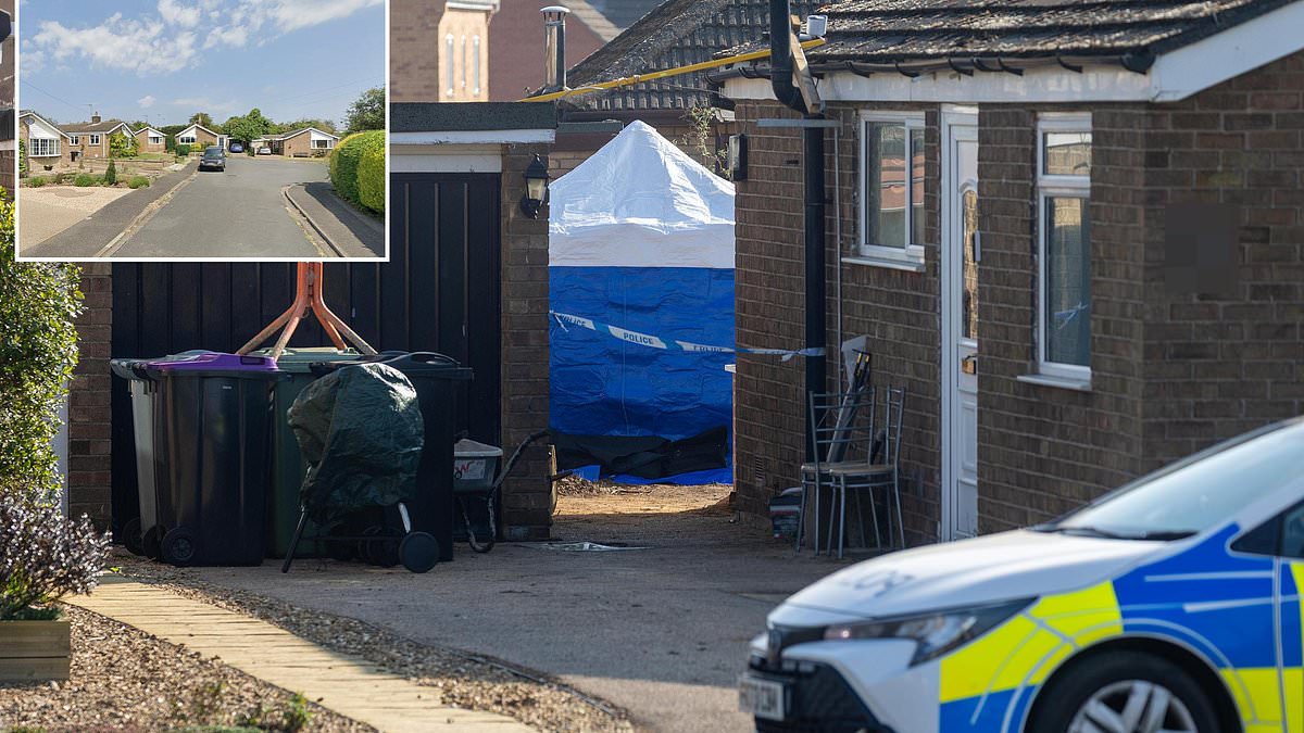 alert-–-bungalow-owner-finds-human-skeleton-while-trying-to-landscape-his-backyard-as-grim-discovery-rocks-sleepy-village