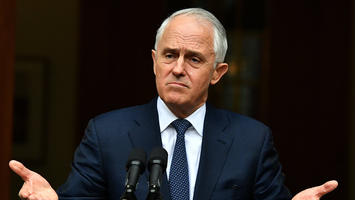 alert-–-malcolm-turnbull-delivers-scathing-one-word-insult-to-the-abc-–-as-fallout-over-trump-stoush-raises-fears-of-drastic-tariff-repercussions