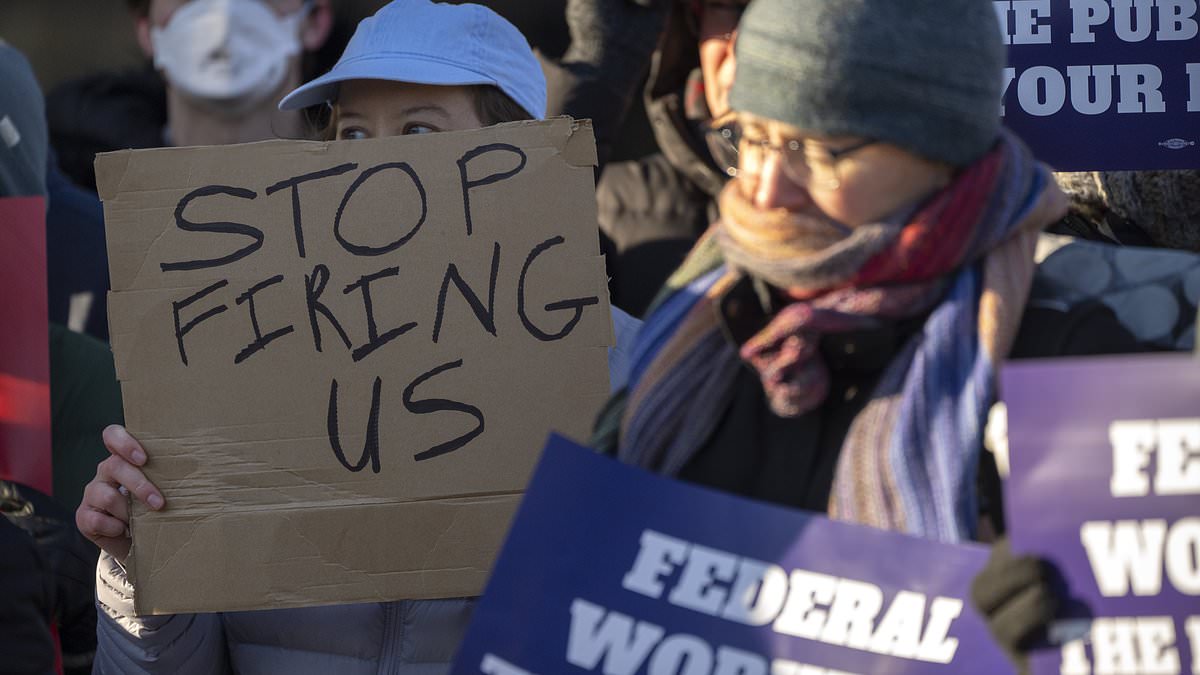 alert-–-federal-workers-fired-by-doge-detail-their-new-financial-struggles-and-how-they’re-‘spending-less-on-groceries’