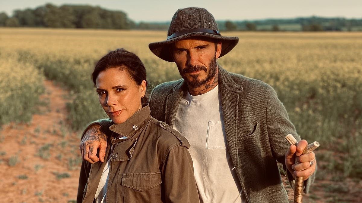 alert-–-how-stacey-solomon-and-joe-swash-are-essex’s-answer-to-‘posh-and-becks’:-all-the-similarities-between-the-two-power-couples-who-both-embrace-rural-life-and-juggle-business-empires