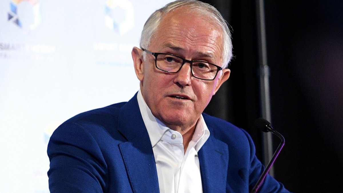 alert-–-peter-van-onselen:-turnbull’s-latest-spray-shows-he’s-still-bitter-–-but-there’s-one-former-pm-who-could-teach-him-how-to-retire-graciously