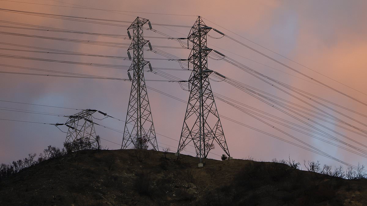 alert-–-unusual-‘zombie’-power-line-is-linked-to-la-fire-that-killed-17-and-wiped-out-entire-neighborhoods