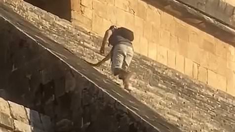 alert-–-moment-german-tourist-is-attacked-by-furious-locals-while-being-dragged-away-by-security-after-climbing-the-steps-of-a-mayan-temple-in-mexico