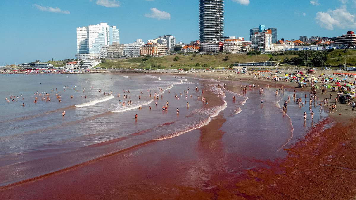 alert-–-scientists-uncover-mystery-behind-horrifying-‘red-tides’-washing-up-on-florida-coast