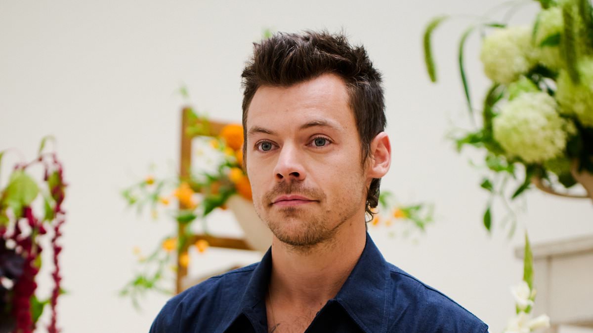 alert-–-harry-styles-‘given-go-ahead-on 30million-super-mansion’-–-but-there’s-a-strict-set-of-rules