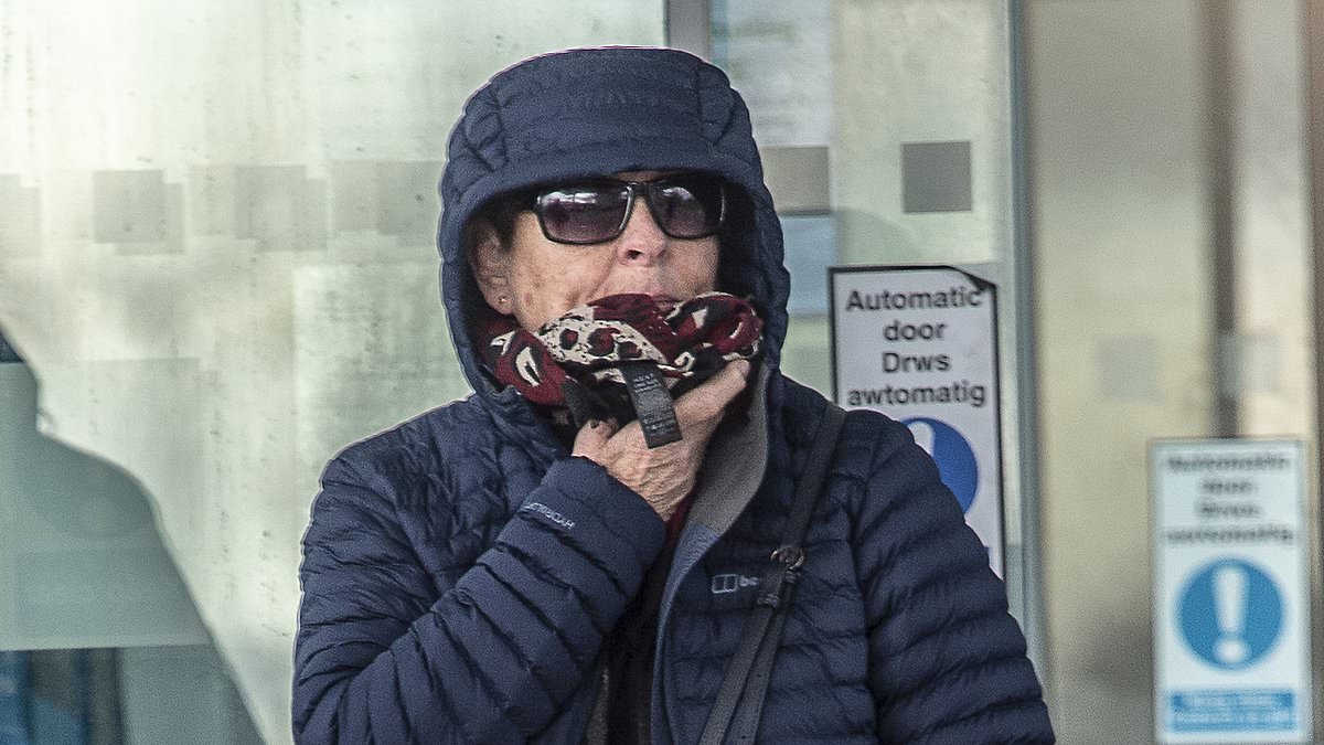 alert-–-‘nasty’-niece,-69,-who-splashed-45,000-of-dementia-stricken-aunt’s-money-on-luxury-holidays-is-spared-jail…-after-claiming-she’s-skint