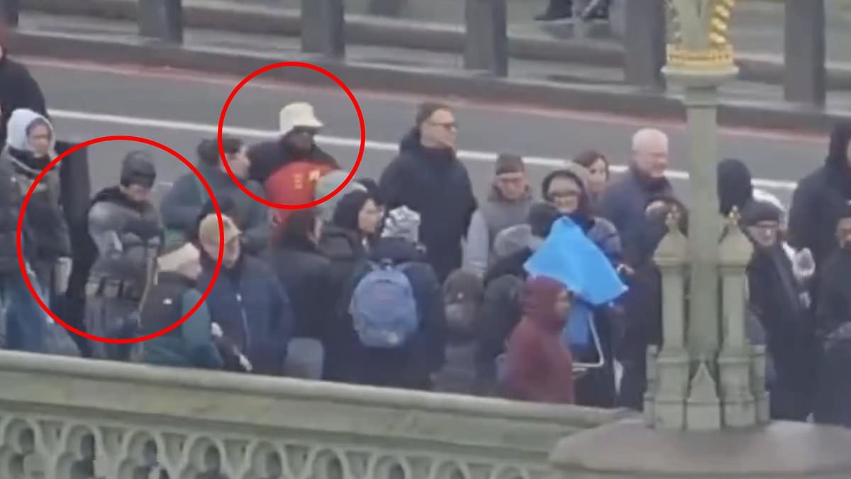 alert-–-moment-met-police-officers-go-undercover-dressed-as-batman-and-robin-to-catch-westminster-bridge-con-artists