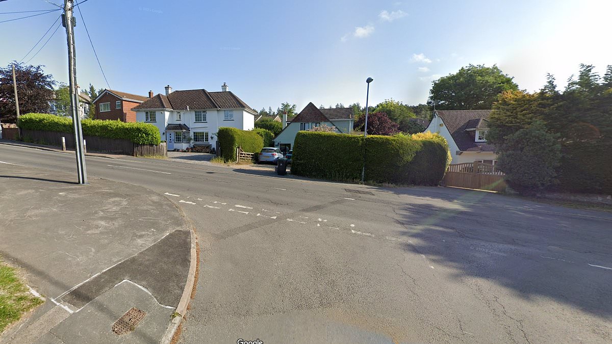 alert-–-young-child-is-killed-in-collision-with-van-–-as-police-appeal-for-dashcam-footage