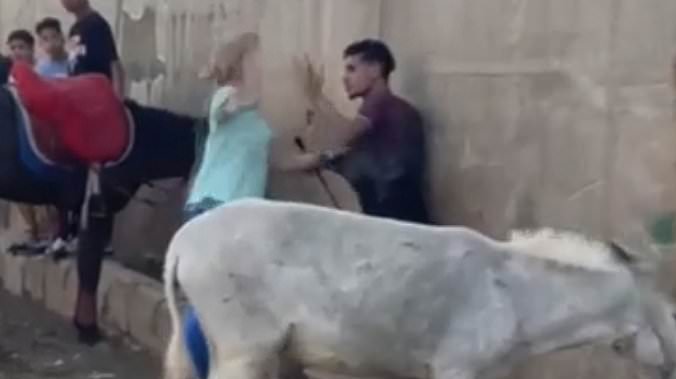 alert-–-animal-lover-who-went-viral-for-punching-a-man-who-was-beating-a-donkey-says-she-is-now-getting-death-threats-but-insists:-‘i-would-do-it-again-–-i-will-not-let-an-innocent-animal-be-harmed’