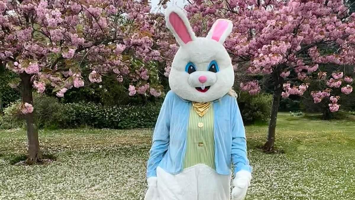 alert-–-a-list-star-goes-all-out-for-easter-in-full -bunny-costume-to-host-egg-hunt-for-‘high-maintenance’-two-year-old-daughter