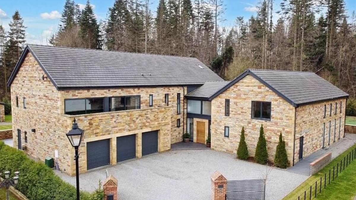 alert-–-inside-newbuild-home-called-an-‘architectural-masterpiece’-by-estate-agent…-but-what-do-you-think?